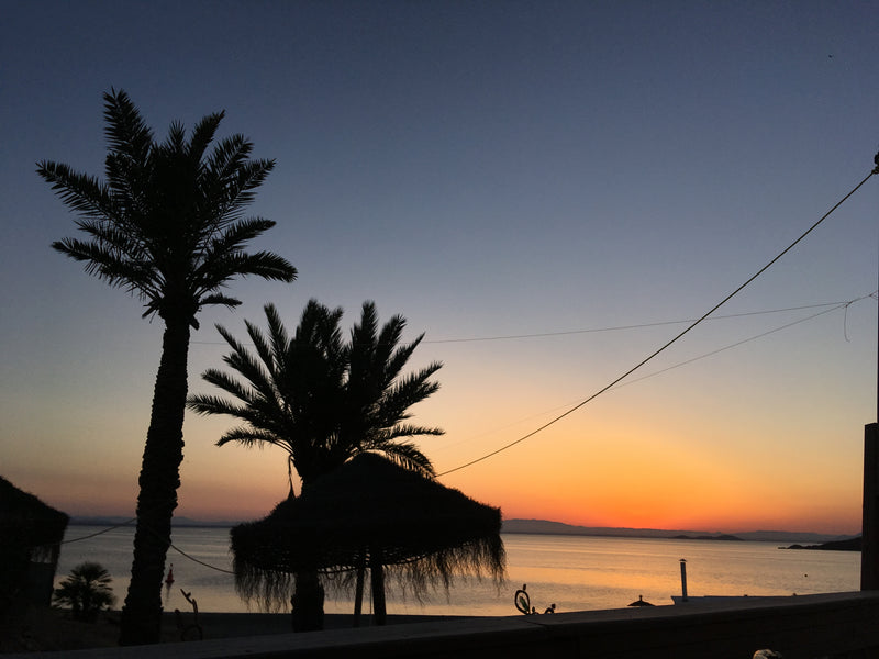 Top 11 de los Mejores Chiringuitos del Mediterráneo